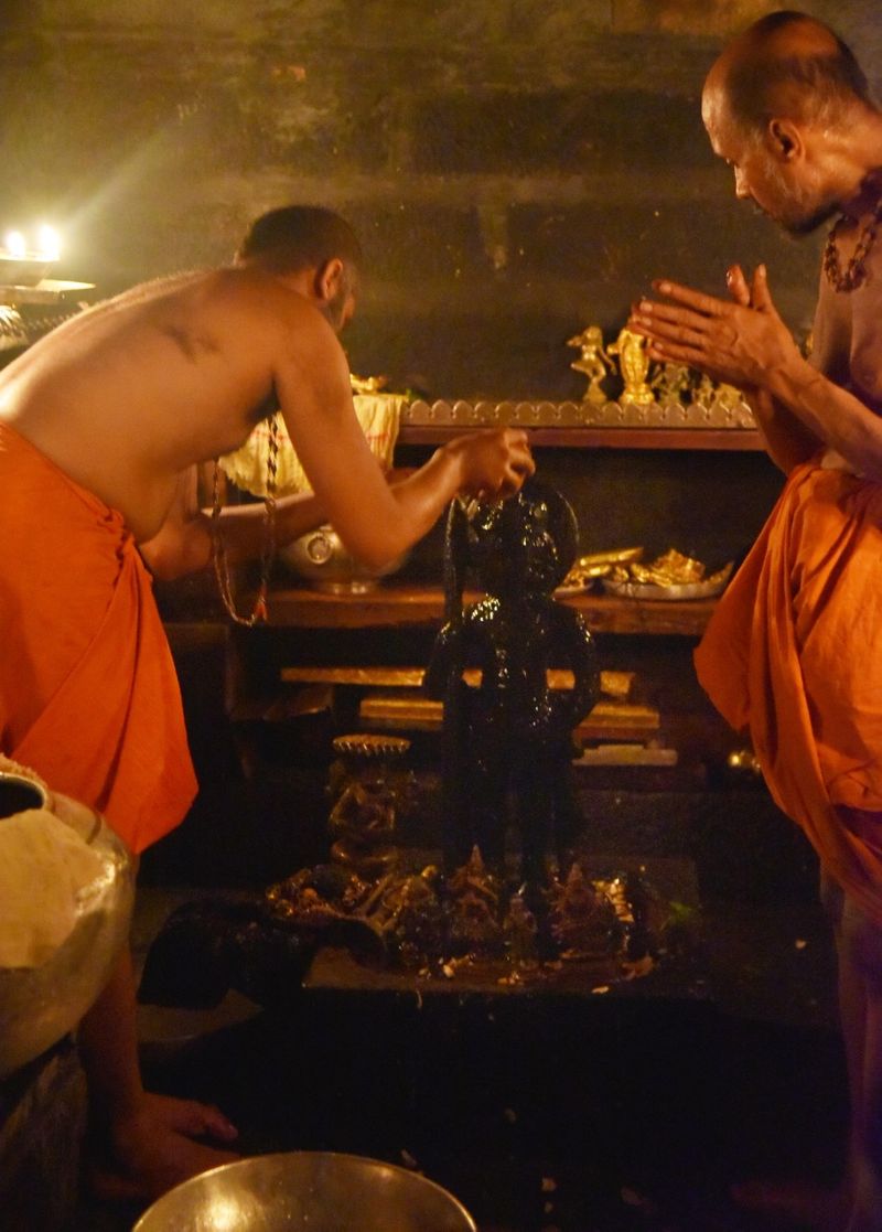 ಶ್ರೀಪಾದರು, ಕೃಷ್ಣಾಪುರ ಮಠಾಧೀಶರಾದ ಶ್ರೀ ವಿದ್ಯಾಸಾಗರ ತೀರ್ಥರೂ ಇದ್ದರು