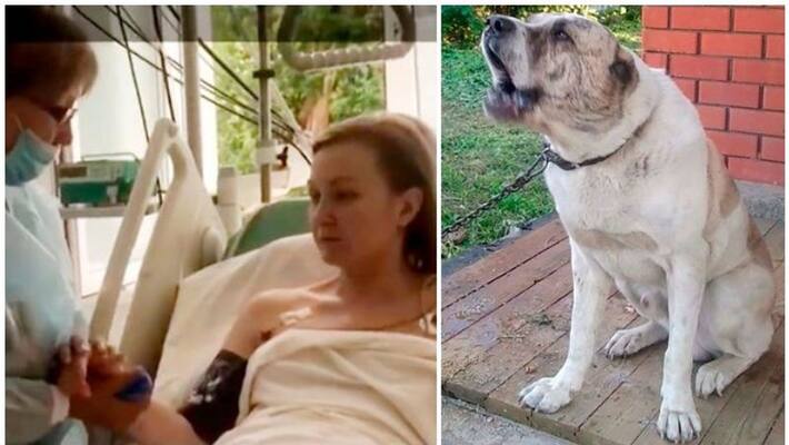 Giant Dog tries to eat mother alive, quick thinking by six year old son saves her Giant Dog tries to eat mother alive, quick thinking by six year old son saves her