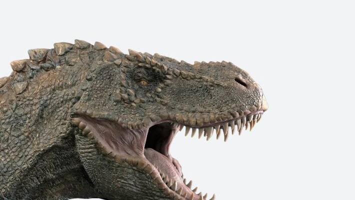 Mass extinction caused by volcanic eruptions 233 million years ago triggered dinosaur takeover of the world Mass extinction caused by volcanic eruptions 233 million years ago triggered dinosaur takeover of the world