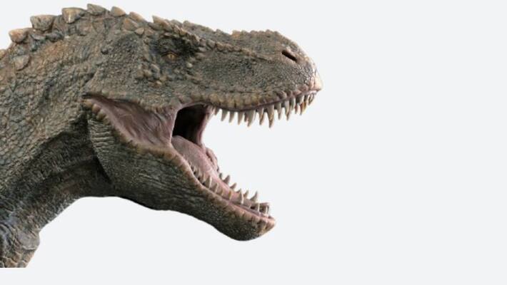 Asteroid impact not volcanoes made the Earth uninhabitable for dinosaurs Asteroid impact not volcanoes made the Earth uninhabitable for dinosaurs
