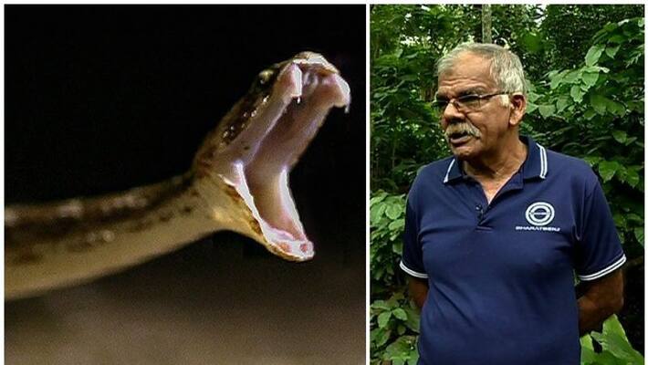man from wayanad gets 35 times snake bite man from wayanad gets 35 times snake bite