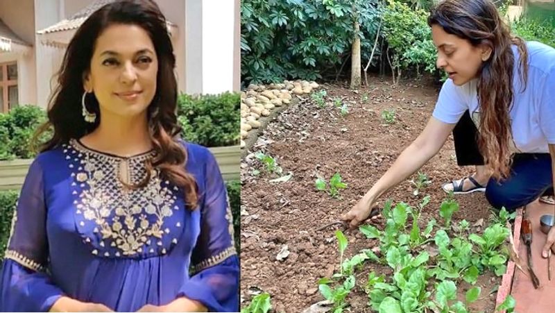 Juhi chawla Tweet After receive vegetables in wrapped with plastic KPG