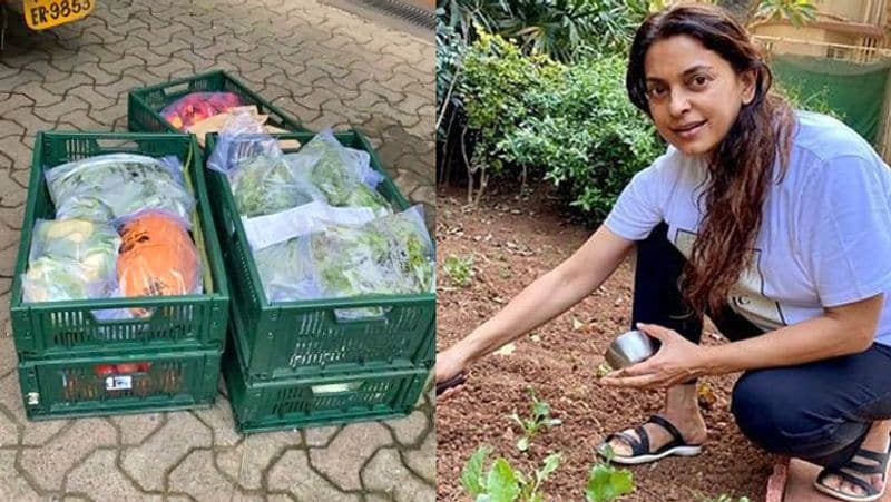 Juhi chawla Tweet After receive vegetables in wrapped with plastic KPG