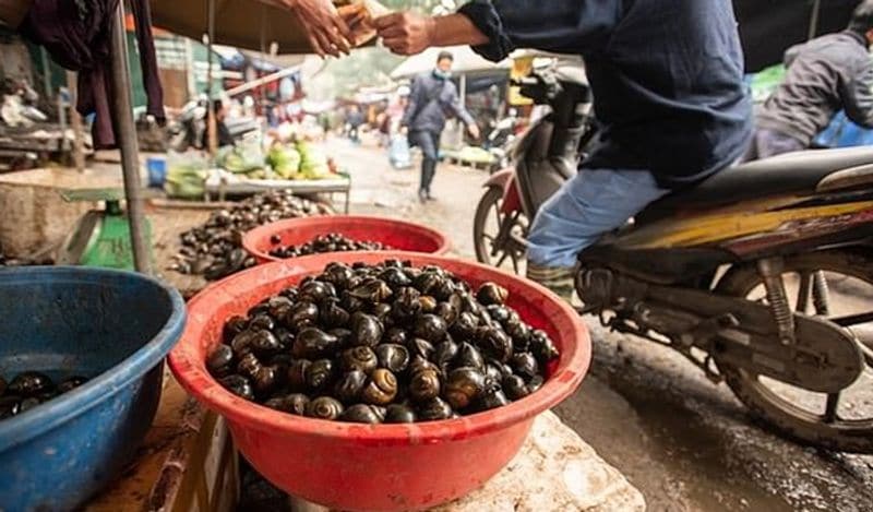 shocking photos of vietnam wet market shows frogs can spread new epidemic in the world meat being sold openly kph