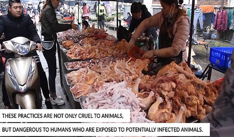 shocking photos of vietnam wet market shows frogs can spread new epidemic in the world meat being sold openly kph