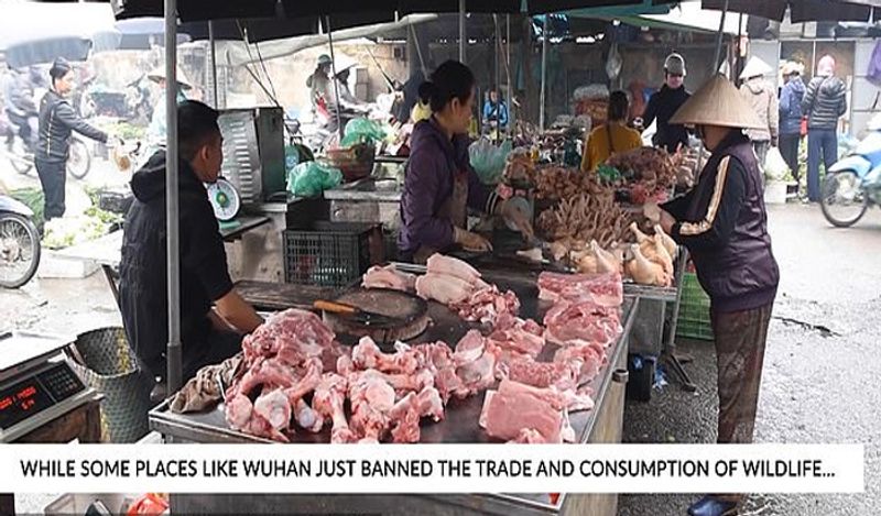 shocking photos of vietnam wet market shows frogs can spread new epidemic in the world meat being sold openly kph