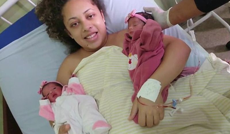 jealous labrador dog killed newborn twins in brazil in horrific attack kph