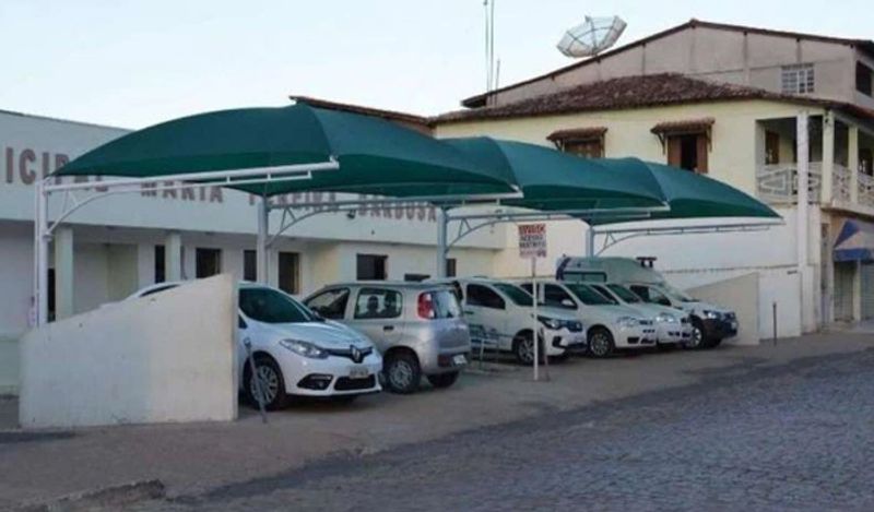 jealous labrador dog killed newborn twins in brazil in horrific attack kph