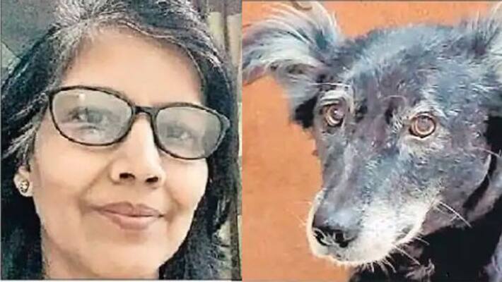 Pet dog commits suicide on mistress death jumps from fourth floor of house kpl Pet dog commits suicide on mistress death jumps from fourth floor of house kpl