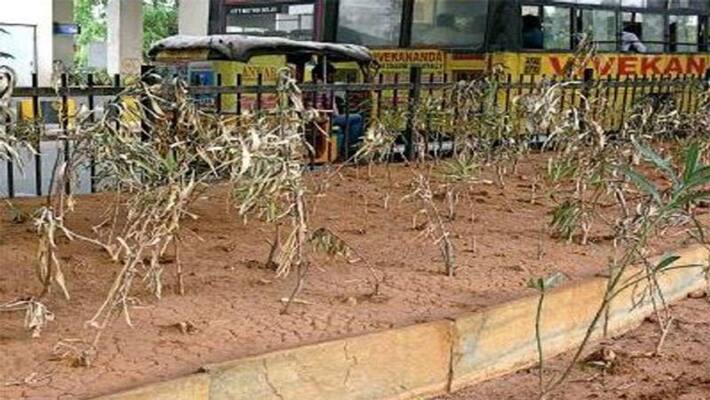 rajanna siricilla Collector krishna bhaskar Suspended Sarpanch For Negligence In Haritha Haram rajanna siricilla Collector krishna bhaskar Suspended Sarpanch For Negligence In Haritha Haram
