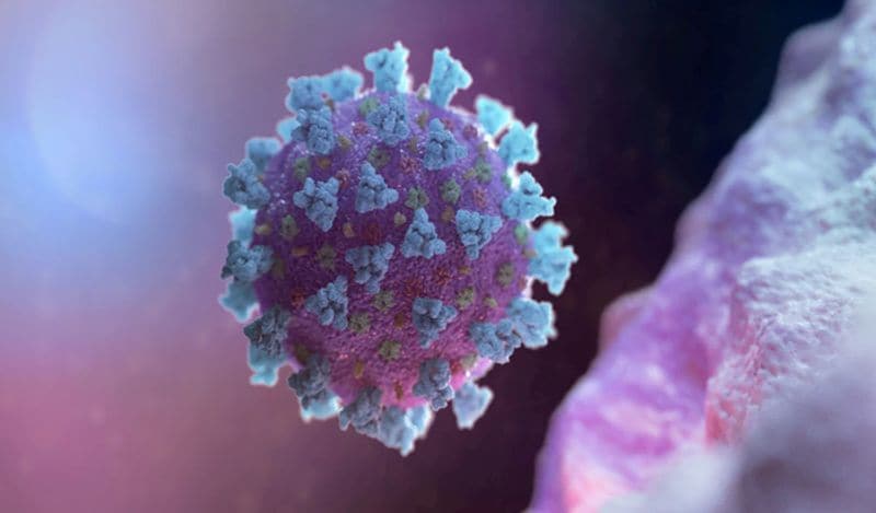 students in alabama attending corona virus parties to get infection for money kph