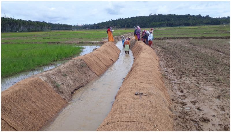 noolpuzha grama panchayath coir for water conservation