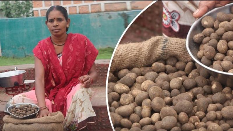 most expensive and natural vegetable of Bastar kpr