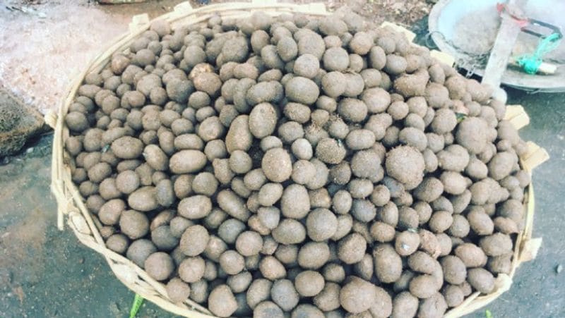 most expensive and natural vegetable of Bastar kpr