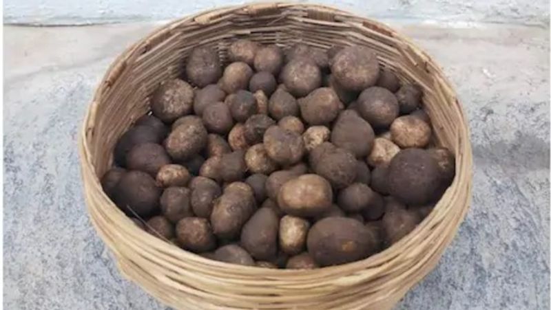 most expensive and natural vegetable of Bastar kpr