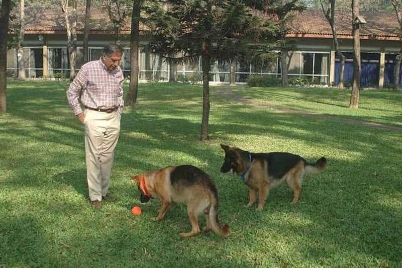 india number one business man crazy with dogs why?