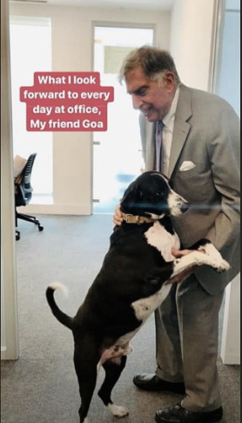 india number one business man crazy with dogs why?