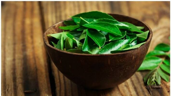 curry leaves can reduce cholesterol level in the body curry leaves can reduce cholesterol level in the body