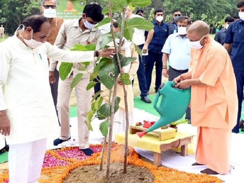 Yogi Adityanath govt plans to plant 25 crore saplings during Van Mahotsav