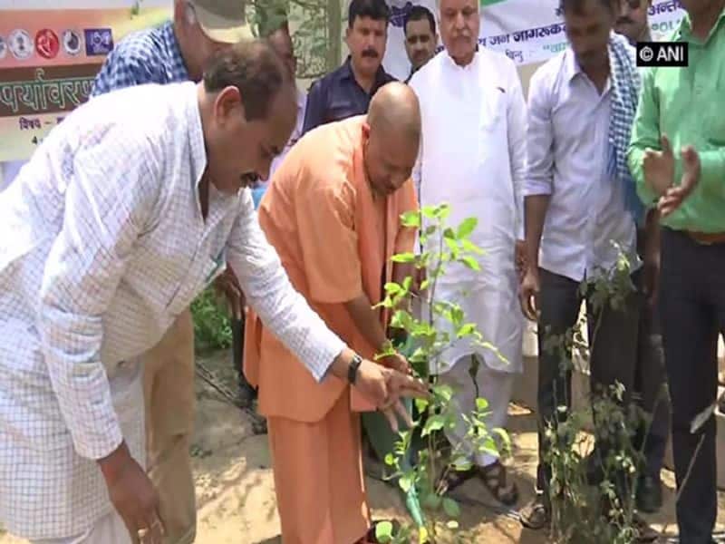 Yogi Adityanath govt to plant 25 crore saplings while maintaining distance during mass plantation drive
