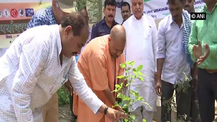 Yogi Adityanath govt plans to plant 25 crore saplings during Van Mahotsav Yogi Adityanath govt plans to plant 25 crore saplings during Van Mahotsav