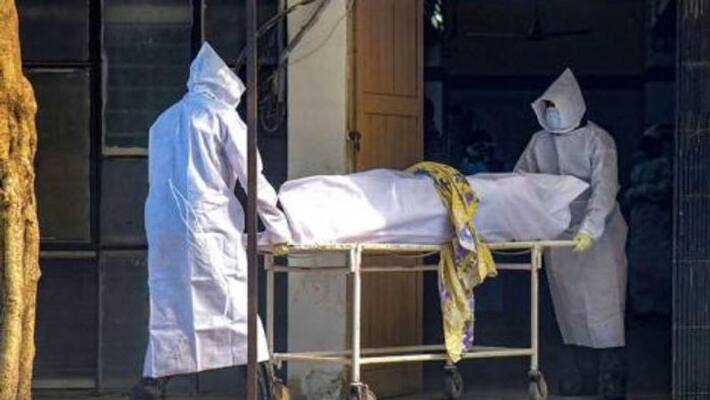 joint collector orders to inquiry on corona dead bodies cremation at penna river in nellore joint collector orders to inquiry on corona dead bodies cremation at penna river in nellore