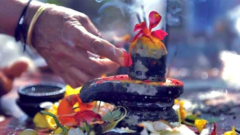 Everyone should take care of these 7 rules related to Shiva worship KPI