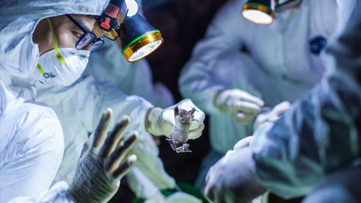 Dr Sreeram does cremation of coronavirus dead body Dr Sreeram does cremation of coronavirus dead body