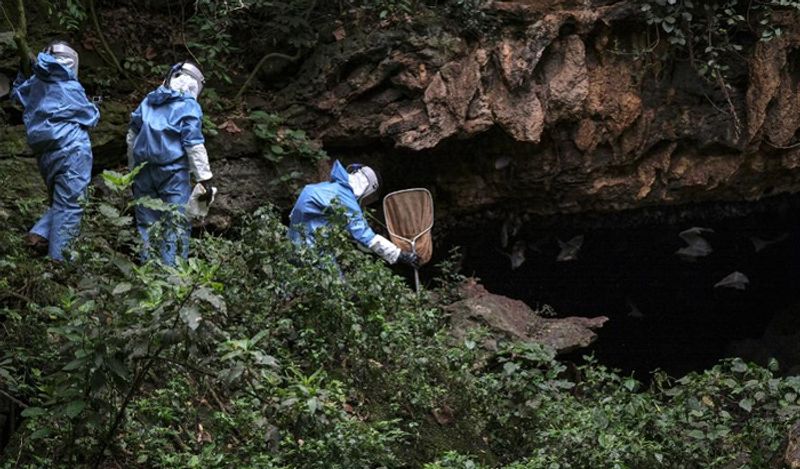corona virus first death recorded 7 years ago in china shocks world kph