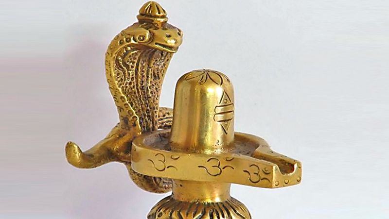 Abhishek of silver Shivling with milk, will reduce the ominous effect of Pitra dosha KPI