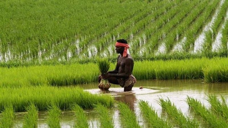 Verification process will be started in PM Kisan Samman Nidhi Scheme MJA