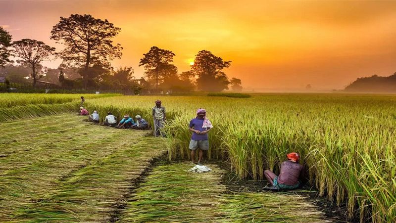 Verification process will be started in PM Kisan Samman Nidhi Scheme MJA
