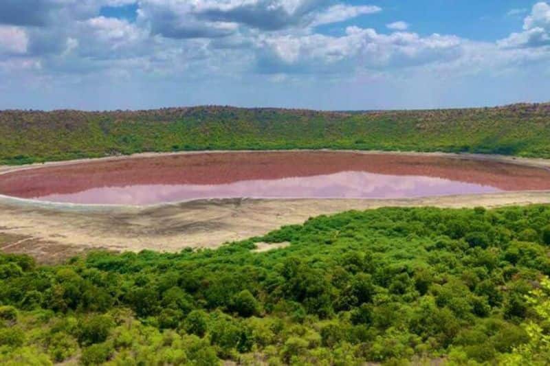 why  Maharashtra Lonar Lake Turns Pink Scientists To Examine