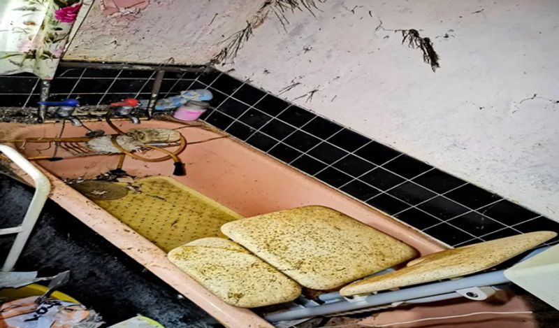horrifying photos of abandoned house of sadness left to rot from 17 years after widow died cursing husband death kph '