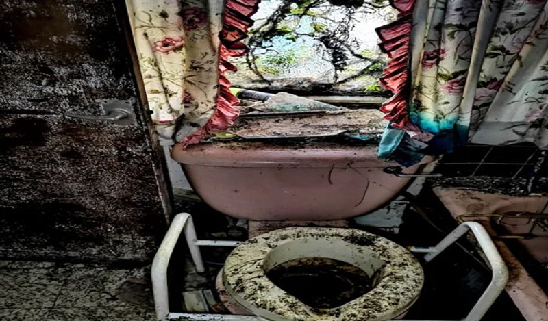 horrifying photos of abandoned house of sadness left to rot from 17 years after widow died cursing husband death kph '