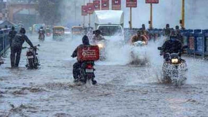 heavy rain in gujarat 40 cattle of gaushala washed away kpr