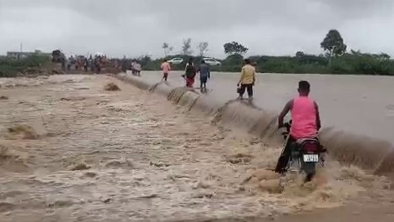 heavy rain in gujarat 40 cattle of gaushala washed away kpr