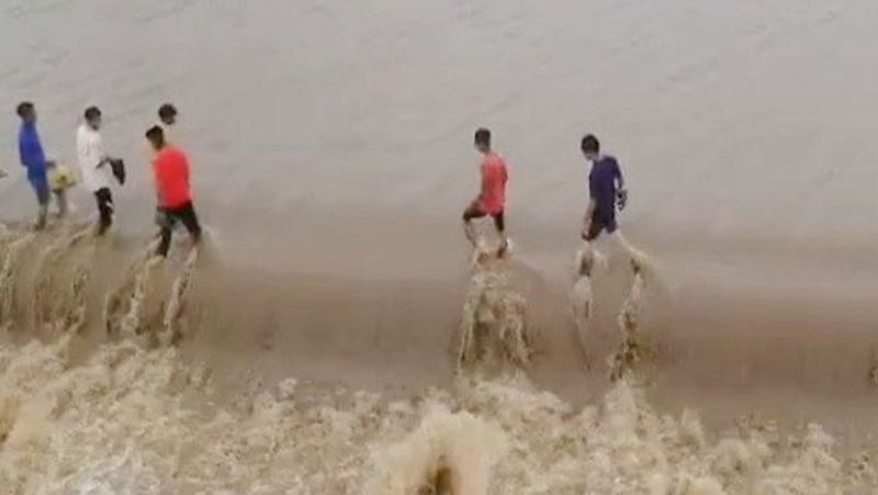 heavy rain in gujarat 40 cattle of gaushala washed away kpr