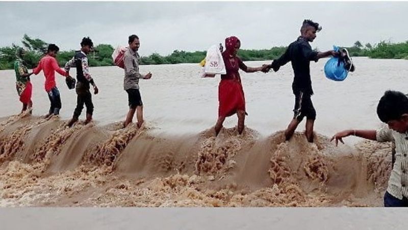 heavy rain in gujarat 40 cattle of gaushala washed away kpr