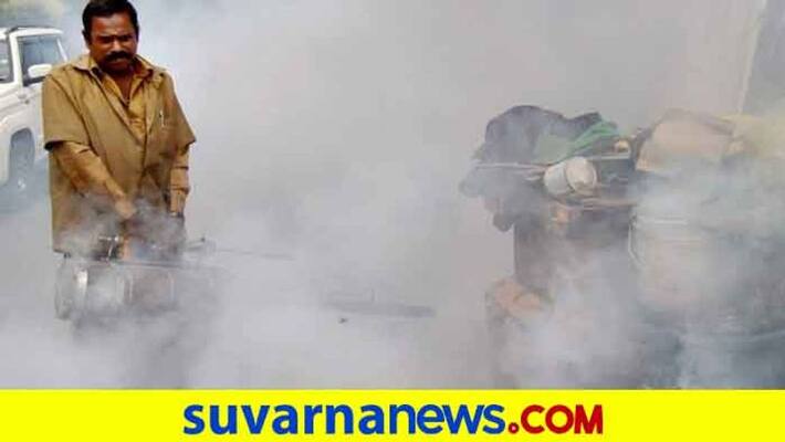 Dengue cases increase in dakshina kannada in midst of corona fear Dengue cases increase in dakshina kannada in midst of corona fear