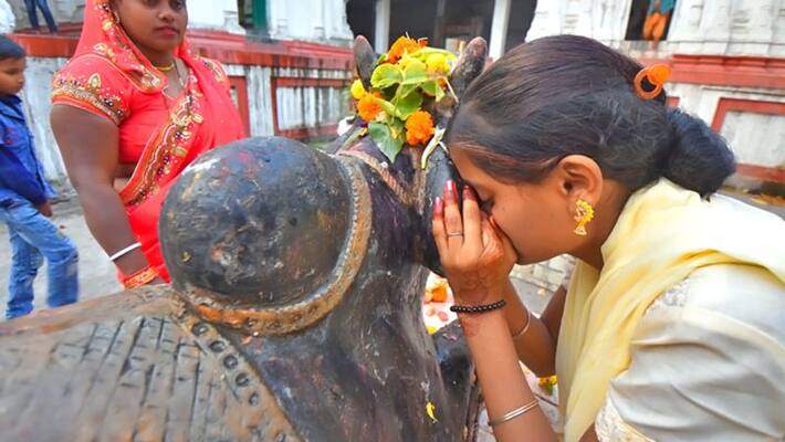 Nandi is known to be lord shiva's incarnation, know why wishes are whispered in his ears KPI Nandi is known to be lord shiva's incarnation, know why wishes are whispered in his ears KPI