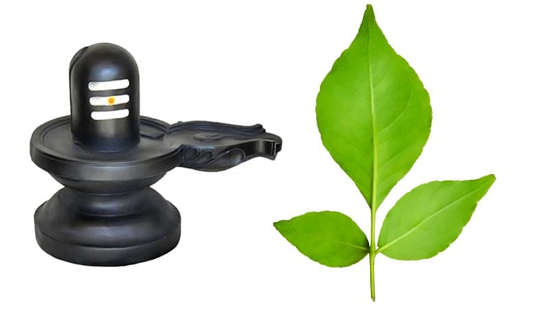 Do these 7 remedies in Sawan for good luck and getting rid of your problems KPI