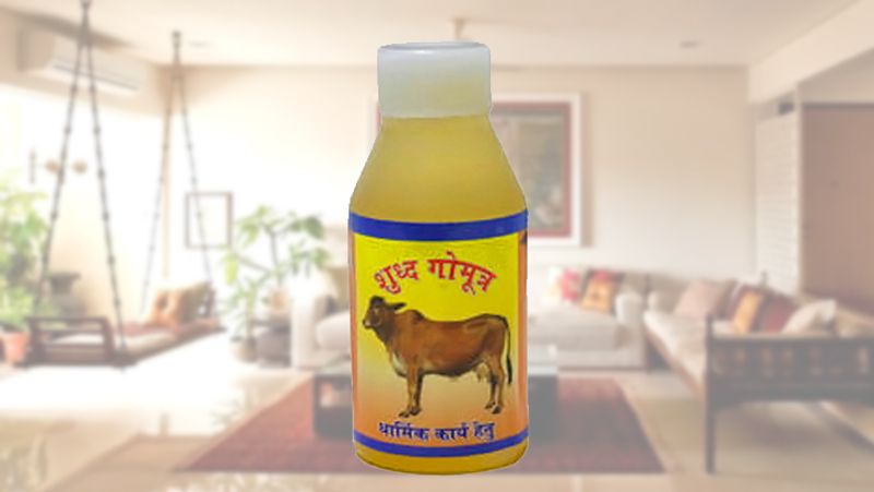 Do these 7 remedies in Sawan for good luck and getting rid of your problems KPI