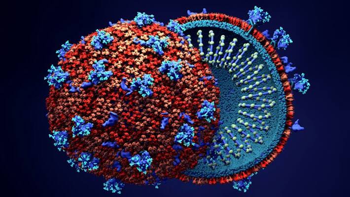 brain damage possible even with mild coronavirus symptoms brain damage possible even with mild coronavirus symptoms