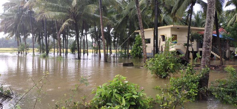 Agricultural land submerged in water as heavy rain hits in Kundapura