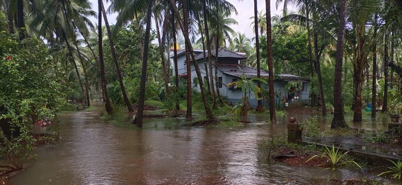 Agricultural land submerged in water as heavy rain hits in Kundapura