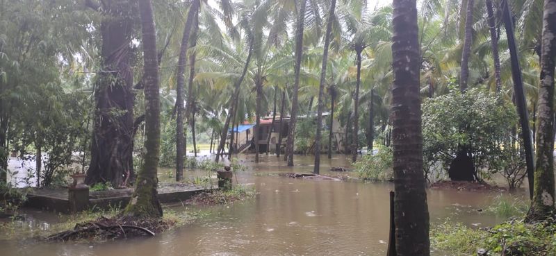Agricultural land submerged in water as heavy rain hits in Kundapura
