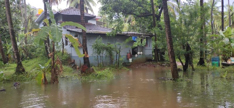 Agricultural land submerged in water as heavy rain hits in Kundapura