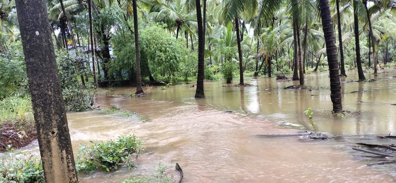 Agricultural land submerged in water as heavy rain hits in Kundapura