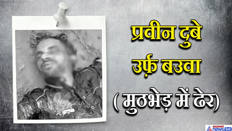 Kanpur Encounter Case 5 main people of vikas dubey killed in 7 days on the basis of these he established his kingdom of crime kpl